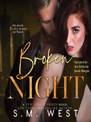 cover image of Broken Night